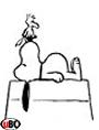 Peanuts