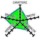 Diagramma (5k) CAR-4 DRA-4 COM-2 INT-2 ORI-3