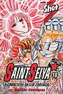 Saint Seiya 16 - Colpire i chakra!