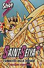 Saint Seiya 7 - Per un futuro grandioso