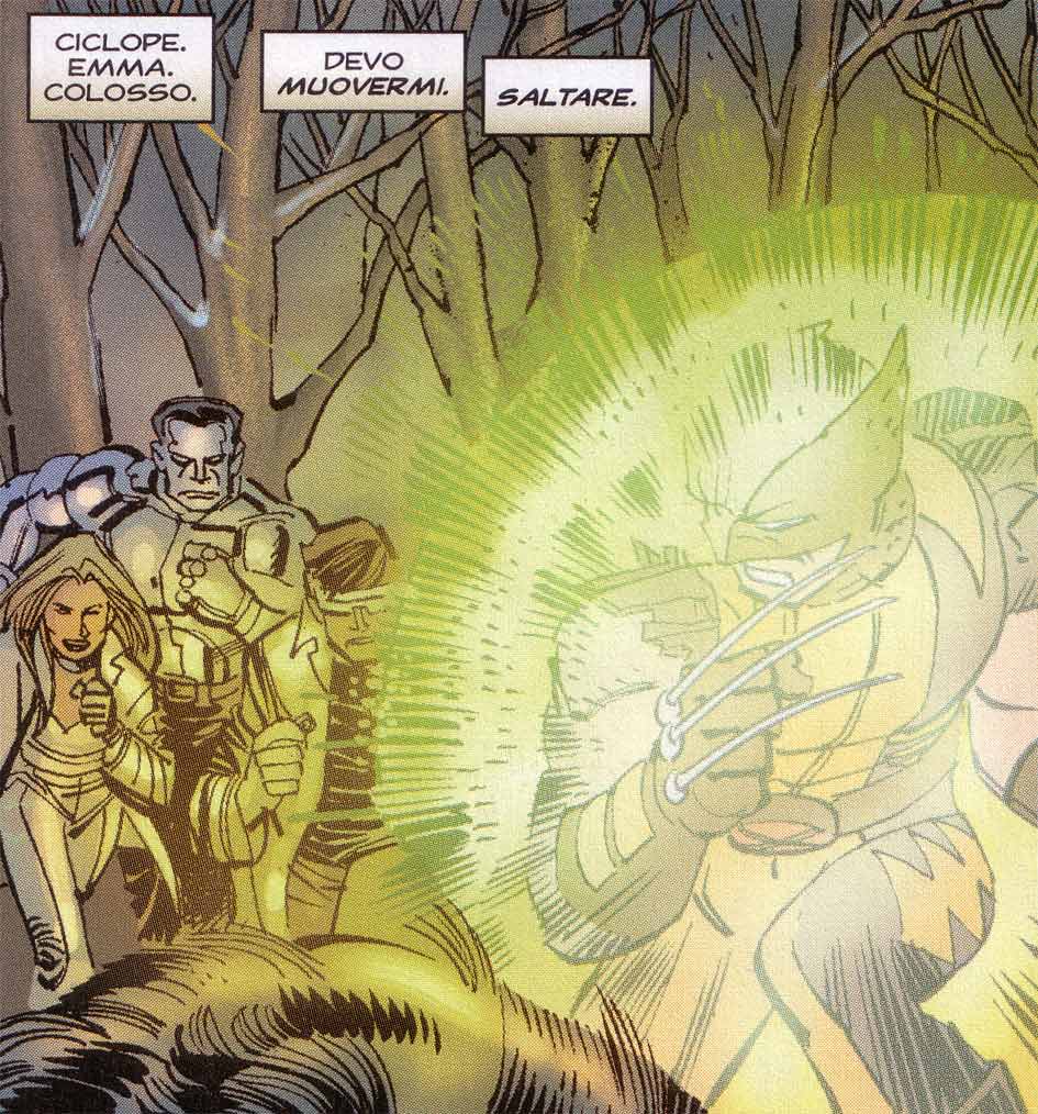 Braccato Braccato<br>Wolverine Vol. 3 #25 Tavola 16 Vignetta 2<br><i>(c) 2005 Marvel Comics / 2006 Panini Comics</i>