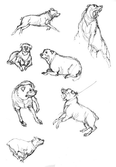 Studio Personaggi: Cani<br>disegni di Giovanni Rigano<br><i>(c) 2006 Soleil</i>