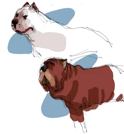 Studio Personaggi: Cani<br>disegni di Giovanni Rigano<br><i>(c) 2006 Soleil</i>