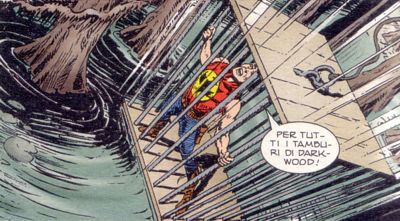 In caduta<br>disegni di Gallieno Ferri, Zagor n.500<br><i>(c) 2007 Sergio Bonelli Editore</i>