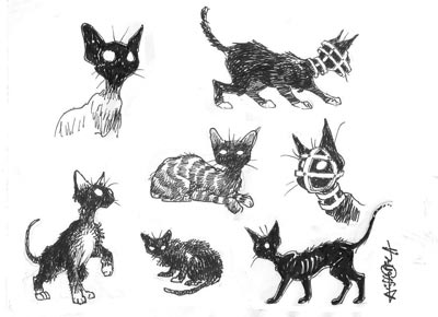 Il gatto della Polypheme<br>disegni di Alessio Coppola<br><i>(c) 2007 Les Humano�des Associ�s</i>