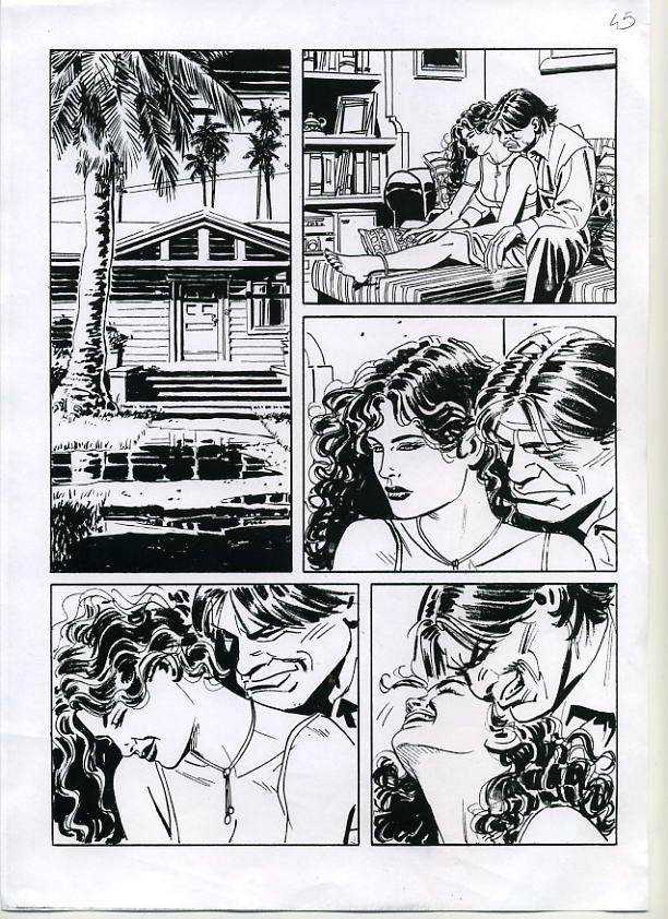 Numero 296 - Tavola 45<br>disegni di Paolo Morales e Davide De Cubellis<br><i>(c) 2008 Sergio Bonelli Editore</i>
