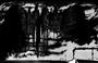 L'isola 9JO<br>Una vaga somiglianza con l'"Isola dei morti" di Arnold Böcklin<br><i>(c) 2007 Panini Comics</i>