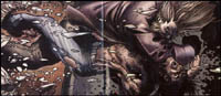 Senza esclusione di colpi Senza esclusione di colpi<br>disegno di Simone Bianchi<br><i>(c) 2007 Marvel Comics</i>