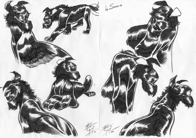Studio Personaggi: Scuro Studio Personaggi: Scuro<br>disegni di Luca Enoch<br><i>(c) 2008 Sergio Bonelli Editore</i>