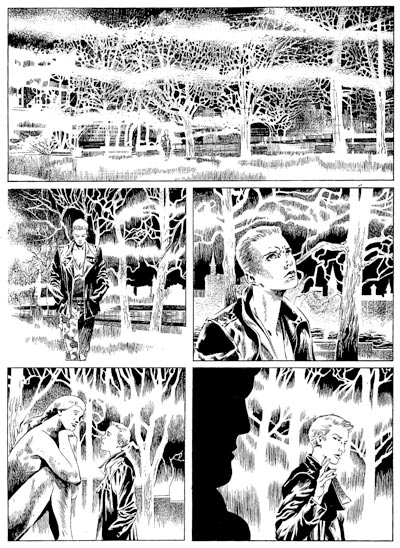 Numero 121 - Tavola 7<br>disegni di Fabiano Ambu<br><i>(c) 2009 Sergio Bonelli Editore</i>