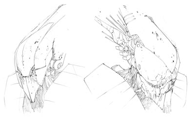 Studi Personaggi: Guardiani Studi Personaggi: Guardiani<br>disegni di Massimo Dall'Oglio<br><i>(c) 2009 Edizioni BD</i>