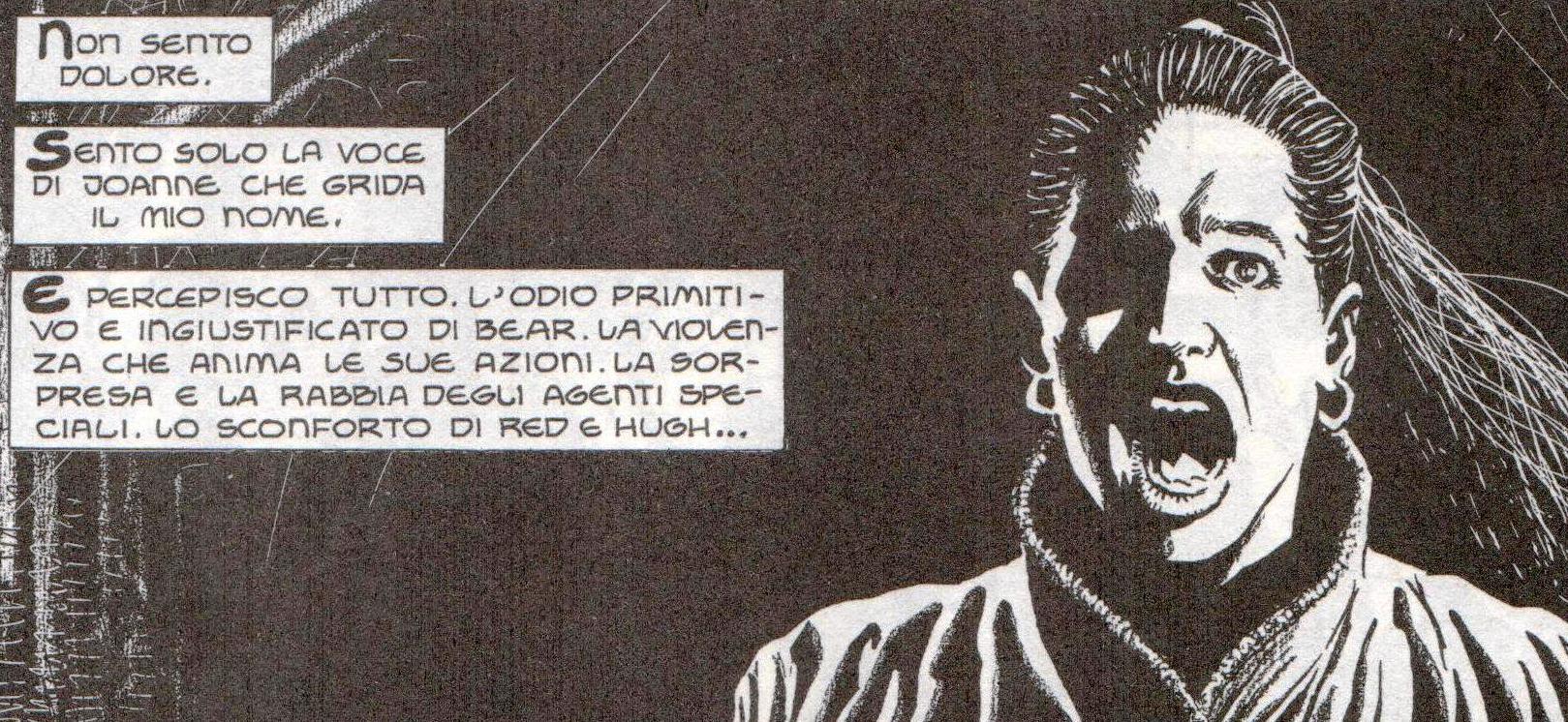 Un grido silenzioso<br>NN 224 <br><i>(c) Bonelli 2010</i>