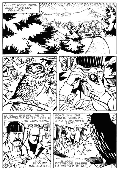 Tavola 15 - bianco & nero<br>disegni di Emanuele Barison<br><i>(c) 2010 Astorina</i>