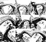 Il ponte degli indiani cadenti<br>Tex 597, disegni di José Ortiz<br><i>(c) 2010 Sergio Bonelli Editore</i>