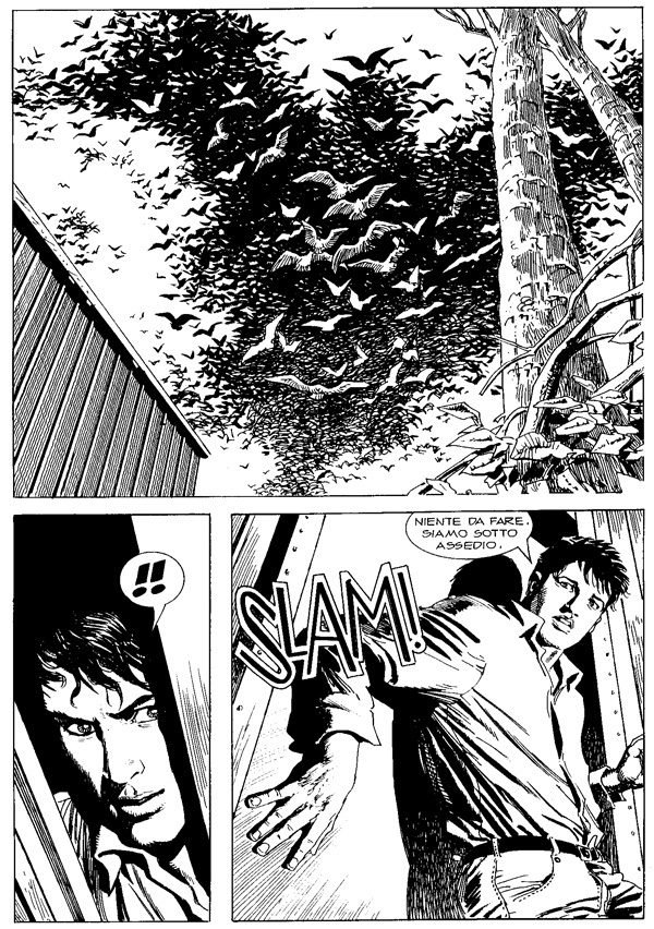 Gli uccelli (ma non di Hitchcock...) Gli uccelli (ma non di Hitchcock...)<br>p. 105 dell'albo, disegni di Giovanni Freghieri<br><i>(c) 2010 Sergio Bonelli Editore</i>