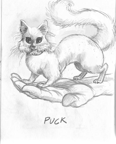 Studio Personaggi: Puck<br>disegni di Fabio Celoni<br><i>(c) 2010 Fabio Celoni, Adriana Coppe & Edizioni Star Comics</i>