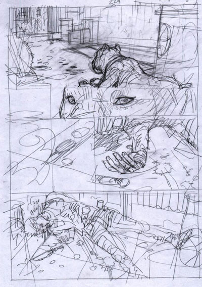 Darwin - Matita Tavola 229<br>disegni di Luigi Piccatto<br><i>(c) 2012 Sergio Bonelli Editore</i>
