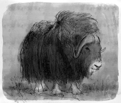 Studio Personaggi<br>disegni di Federico Bertolucci<br><i>(c) 2012 Edizioni BD</i>
