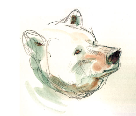 Studio Personaggi<br>disegni di Federico Bertolucci<br><i>(c) 2012 Edizioni BD</i>