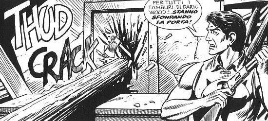 Quando disegni e testi raccontano la stessa cosa<br>disegni di Sedioli e Verni, Zagor 580, pag.5<br><i>(c) 2013 Sergio Bonelli Editore</i>