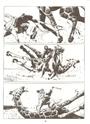 Caccia alle giraffe<br>Tavola di Paolo Raffaelli, pag.18<br><i>(c) 2015 Sergio Bonelli editore</i>